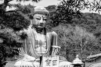 The Great Buddha by Philippe Hugonnard canvas print