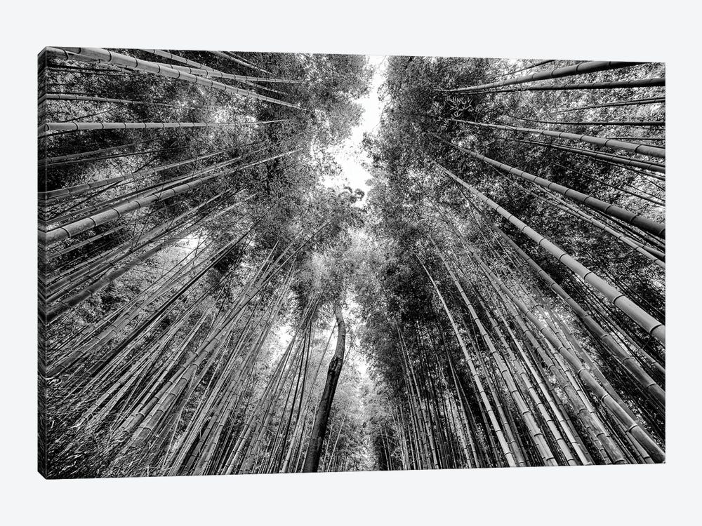Sagano Bamboo Forest by Philippe Hugonnard 1-piece Canvas Wall Art