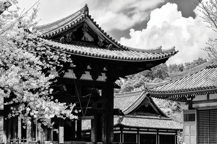 Nara Temple