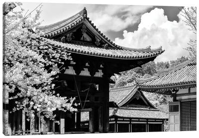 Nara Temple Canvas Art Print - East Asian Culture