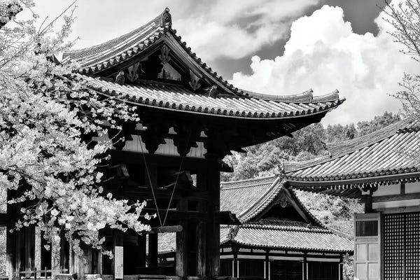 East Asian Culture: Nara Temple by Philippe Hugonnard