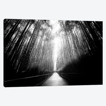 Arashiyama Bamboo Forest Canvas Print #PHD1295} by Philippe Hugonnard Canvas Art Print