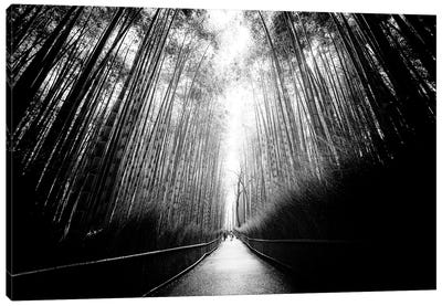 Arashiyama Bamboo Forest Canvas Art Print - Arashiyama Bamboo Forest