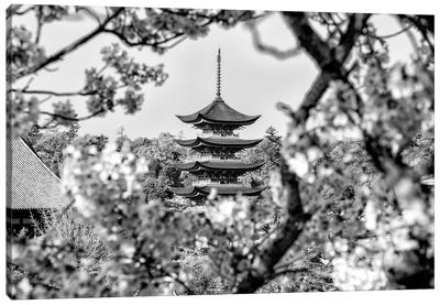 Pagoda Cherry Blossom Canvas Art Print
