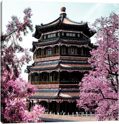 Pink Spring II Canvas Art Print - China 10Mkm2