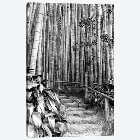 Between Bamboos Canvas Print #PHD1311} by Philippe Hugonnard Canvas Art Print