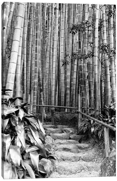 Between Bamboos Canvas Art Print - Arashiyama Bamboo Forest
