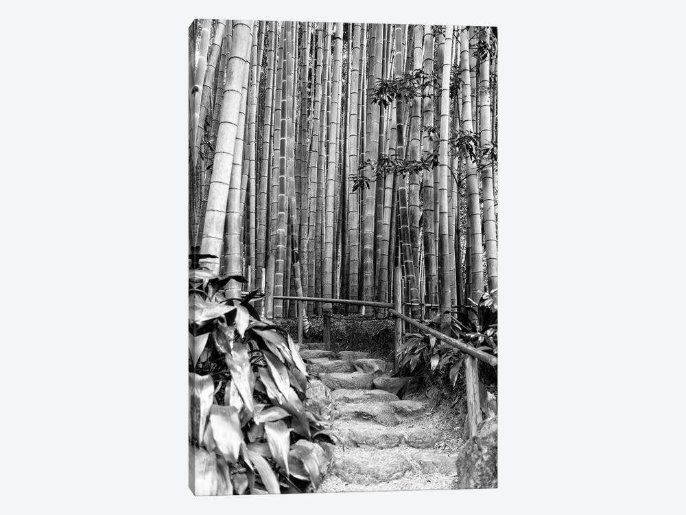 Between Bamboos by Philippe Hugonnard 1-piece Canvas Art