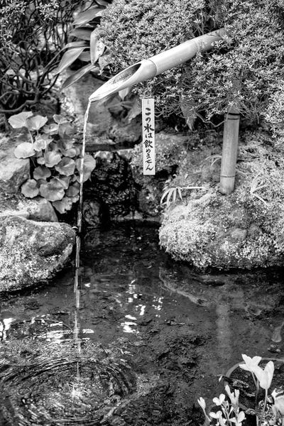 Bamboo: Serenity by Philippe Hugonnard