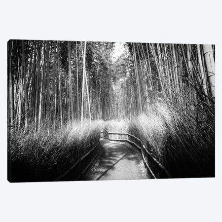 Kyoto Bamboo Trail Canvas Print #PHD1348} by Philippe Hugonnard Canvas Artwork