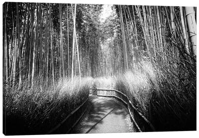 Kyoto Bamboo Trail Canvas Art Print - Bamboo Art