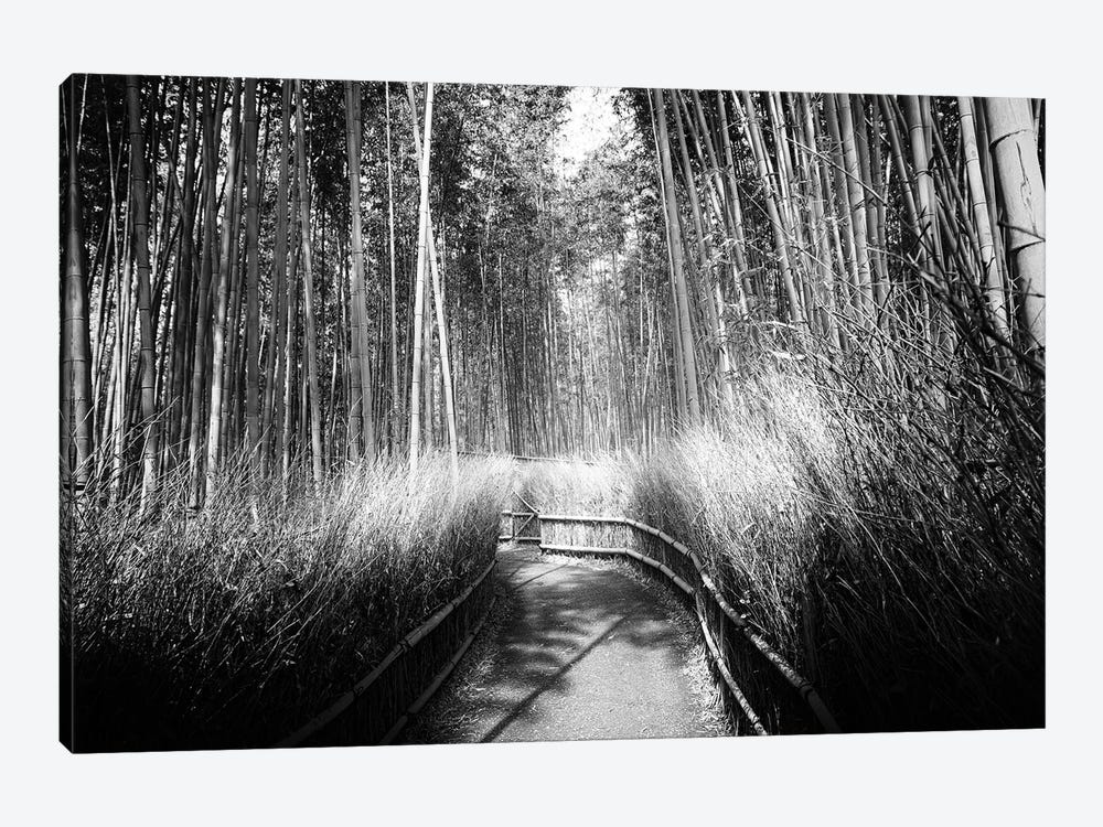 Kyoto Bamboo Trail by Philippe Hugonnard 1-piece Canvas Artwork