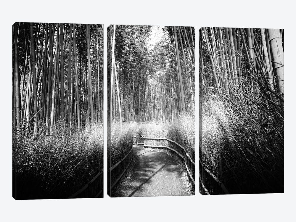 Kyoto Bamboo Trail by Philippe Hugonnard 3-piece Canvas Wall Art