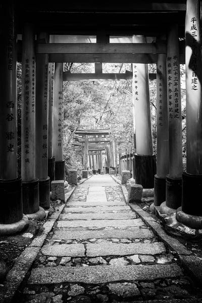 Follow The Path by Philippe Hugonnard canvas print