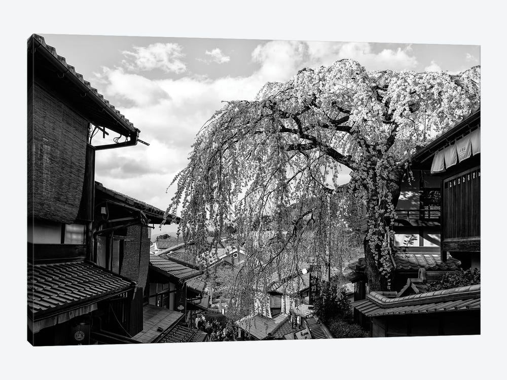 Kyoto Cherry Blossoms by Philippe Hugonnard 1-piece Canvas Art Print