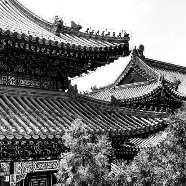 Chinese Décor: Temple Roofs by Philippe Hugonnard