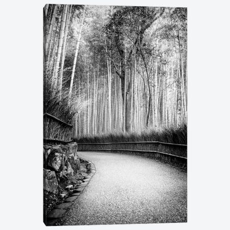 Path To Bamboo Forest Canvas Print #PHD1390} by Philippe Hugonnard Art Print
