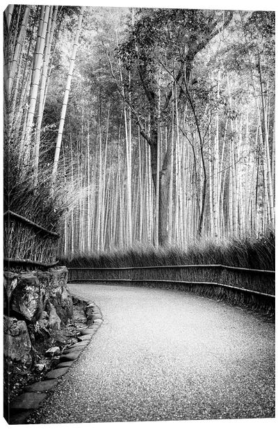 Path To Bamboo Forest Canvas Art Print - Kyoto