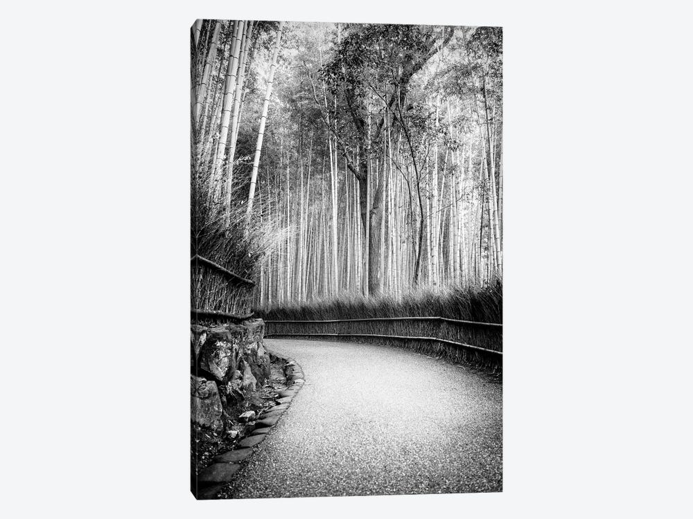 Path To Bamboo Forest by Philippe Hugonnard 1-piece Art Print