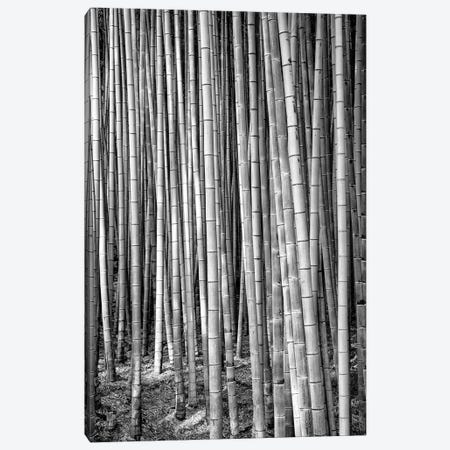 Thousand And One Bamboos Canvas Print #PHD1391} by Philippe Hugonnard Art Print