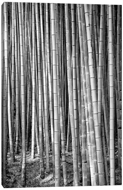 Thousand And One Bamboos Canvas Art Print - Bamboo Art