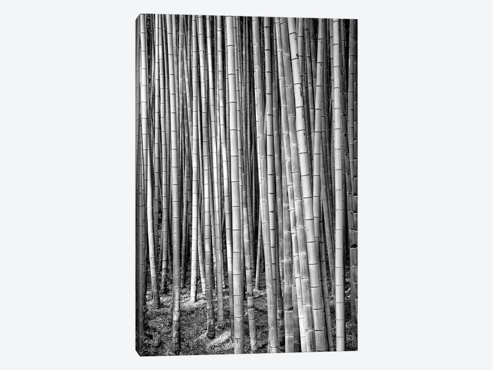 Thousand And One Bamboos by Philippe Hugonnard 1-piece Canvas Artwork