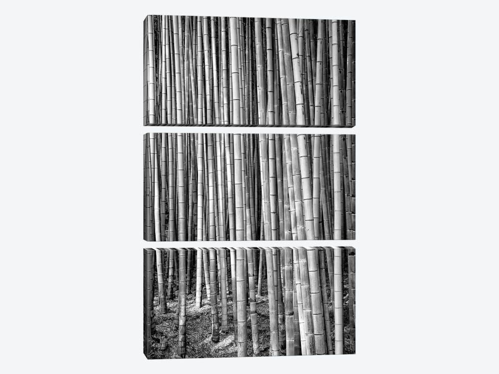 Thousand And One Bamboos by Philippe Hugonnard 3-piece Canvas Artwork