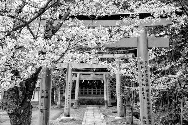 Kyoto: Yoshida Shrine Torii - Black Japan by Philippe Hugonnard