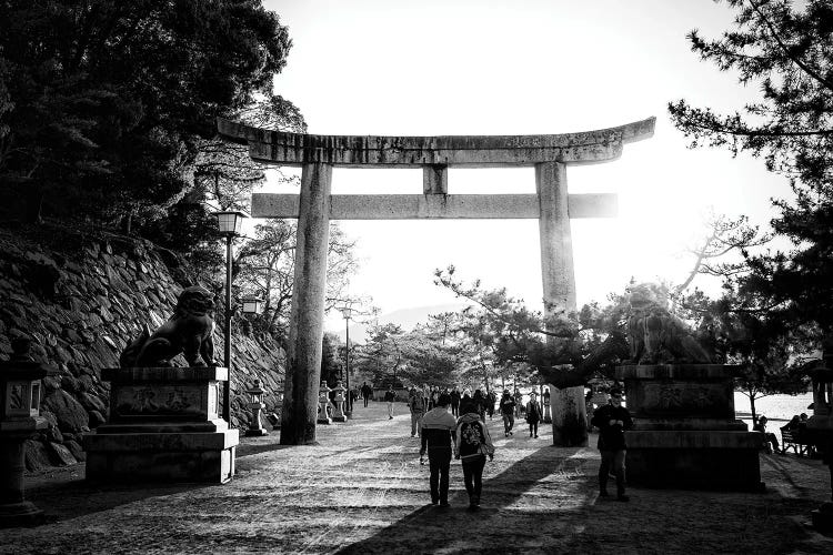 Sunset Of Torii Gate