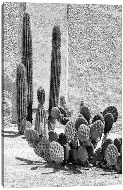 Black Arizona Series - Prickly Pear Cactus Canvas Art Print - All Black Collection