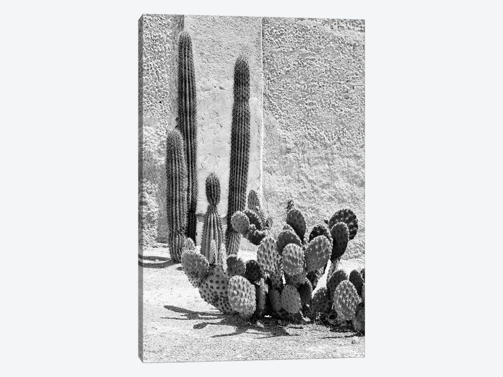 Black Arizona Series - Prickly Pear Cactus by Philippe Hugonnard 1-piece Canvas Art Print