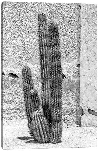 Black Arizona Series - Cactus Canvas Art Print - All Black Collection