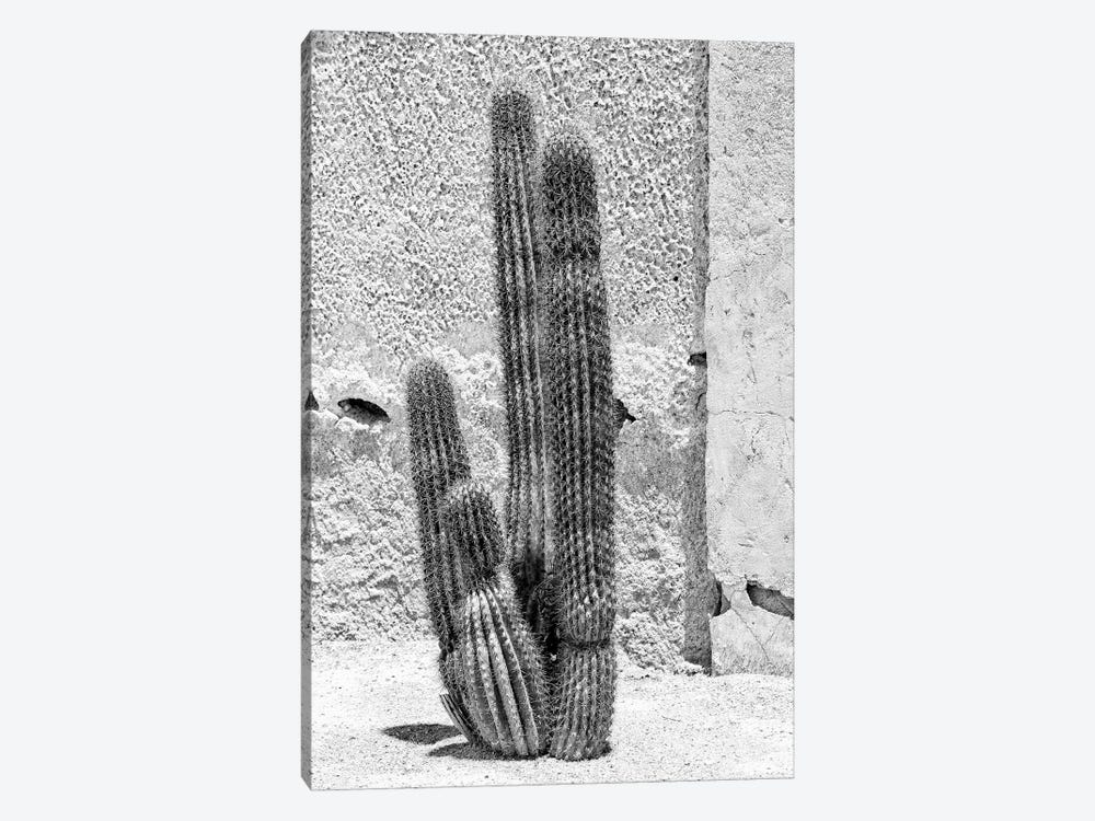 Black Arizona Series - Cactus by Philippe Hugonnard 1-piece Canvas Art Print