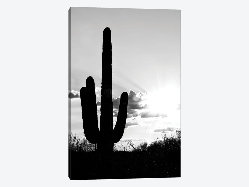 Black Arizona Series - Saguaro Cactus Shadow Sunset by Philippe Hugonnard 1-piece Canvas Artwork