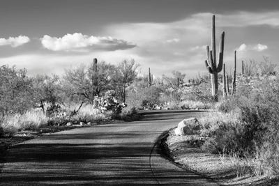 Black Arizona Series - Desert Road by Philippe Hugonnard art print
