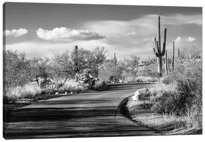 Black Arizona Series - Desert Road Canvas Art Print - All Black Collection