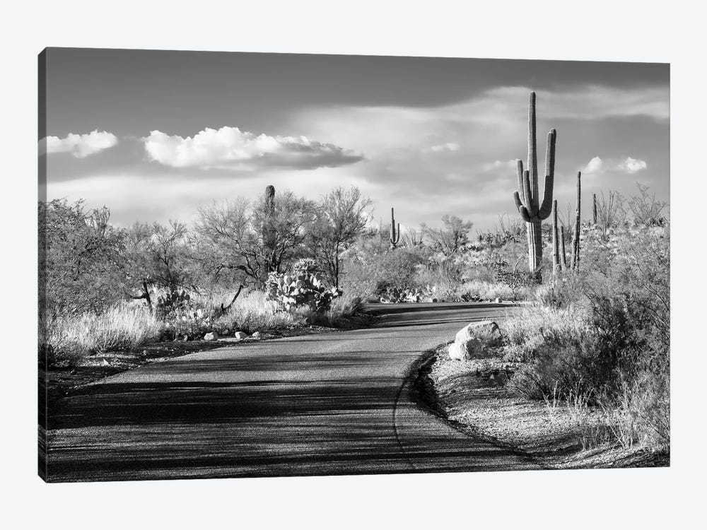 Black Arizona Series - Desert Road by Philippe Hugonnard 1-piece Canvas Art Print
