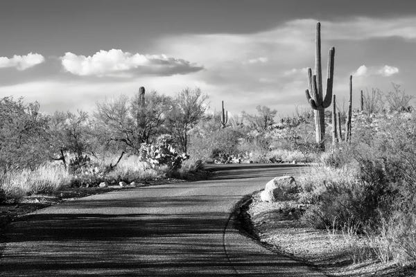 Arizona: Black Arizona Series - Desert Road by Philippe Hugonnard