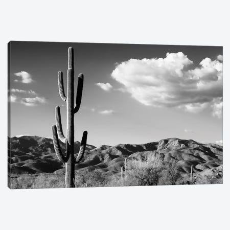 Black Arizona Series - Saguaro Cactus Sunrise Canvas Print #PHD1486} by Philippe Hugonnard Canvas Artwork