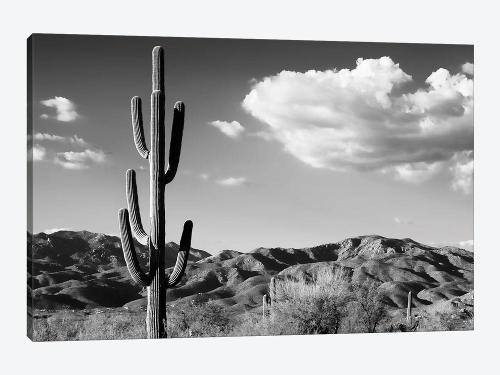 Black Arizona Series - Saguaro Cactus Sunrise by Philippe Hugonnard 1-piece Art Print
