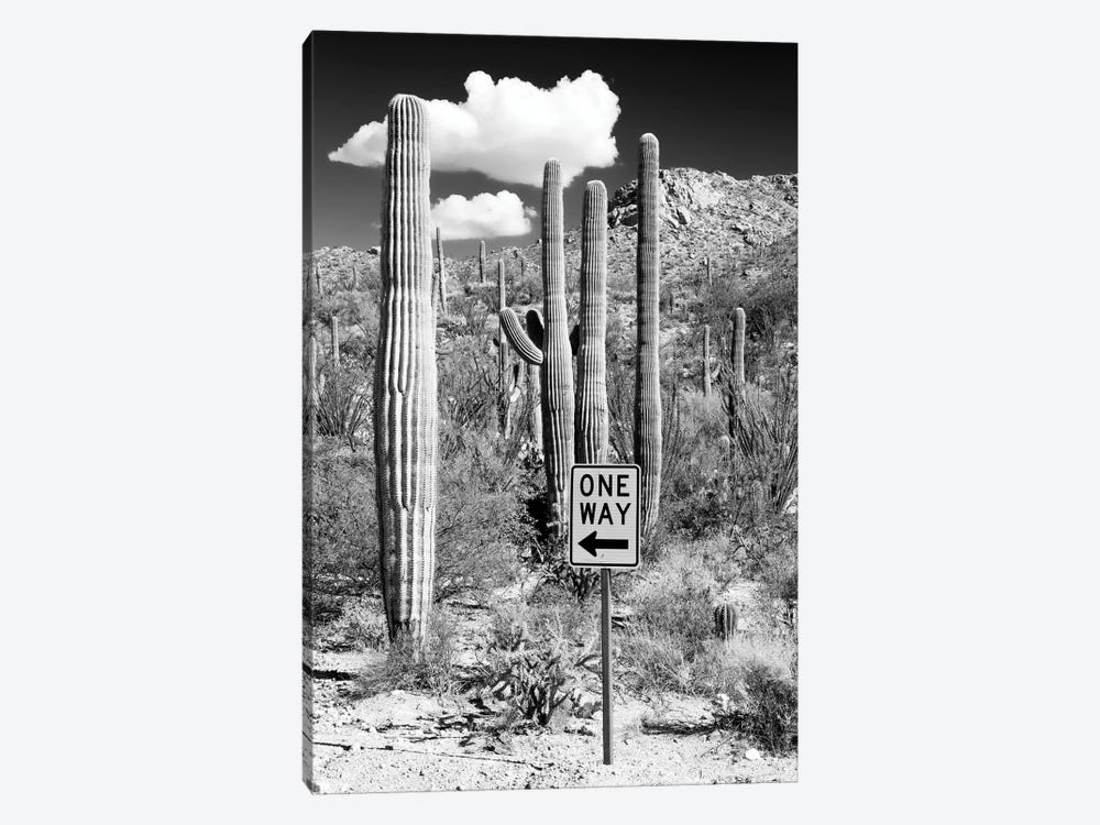 Black Arizona Series - Cactus One Way by Philippe Hugonnard 1-piece Canvas Wall Art