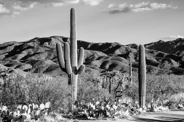 Tucson
