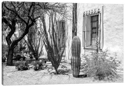 Black Arizona Series - Beautiful Desert Plants Canvas Art Print - All Black Collection