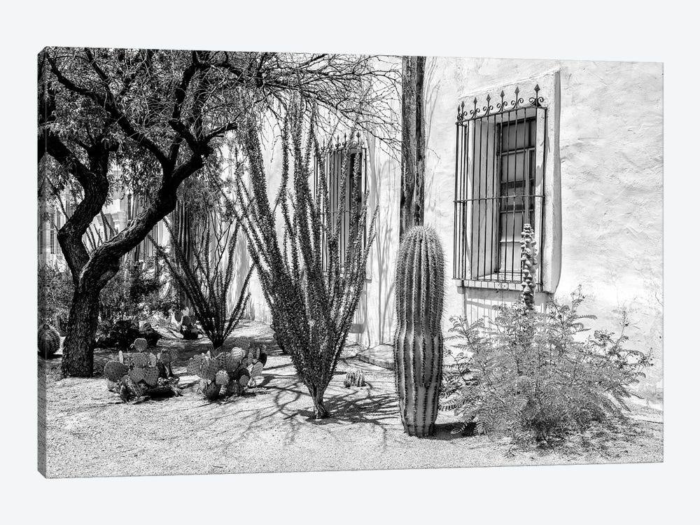 Black Arizona Series - Beautiful Desert Plants by Philippe Hugonnard 1-piece Canvas Artwork