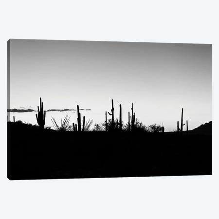 Black Arizona Series - Sunset Cactus Skyline Canvas Print #PHD1506} by Philippe Hugonnard Canvas Print