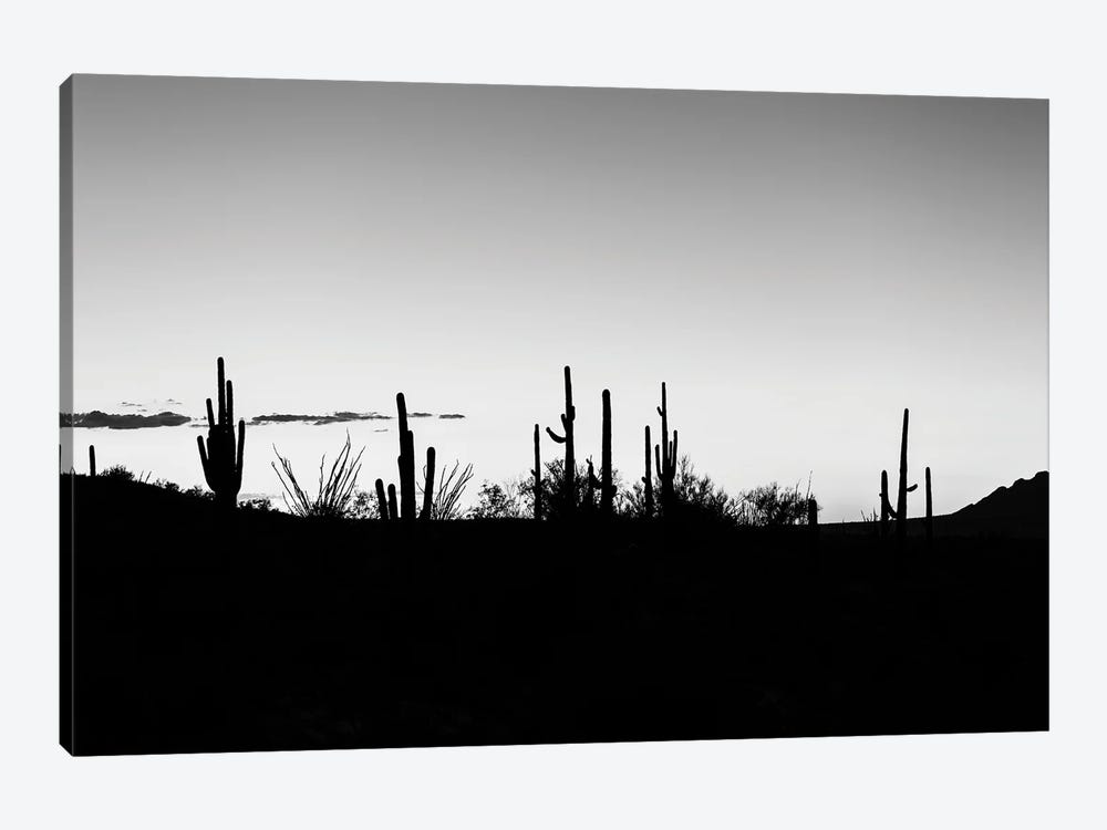 Black Arizona Series - Sunset Cactus Skyline by Philippe Hugonnard 1-piece Canvas Artwork