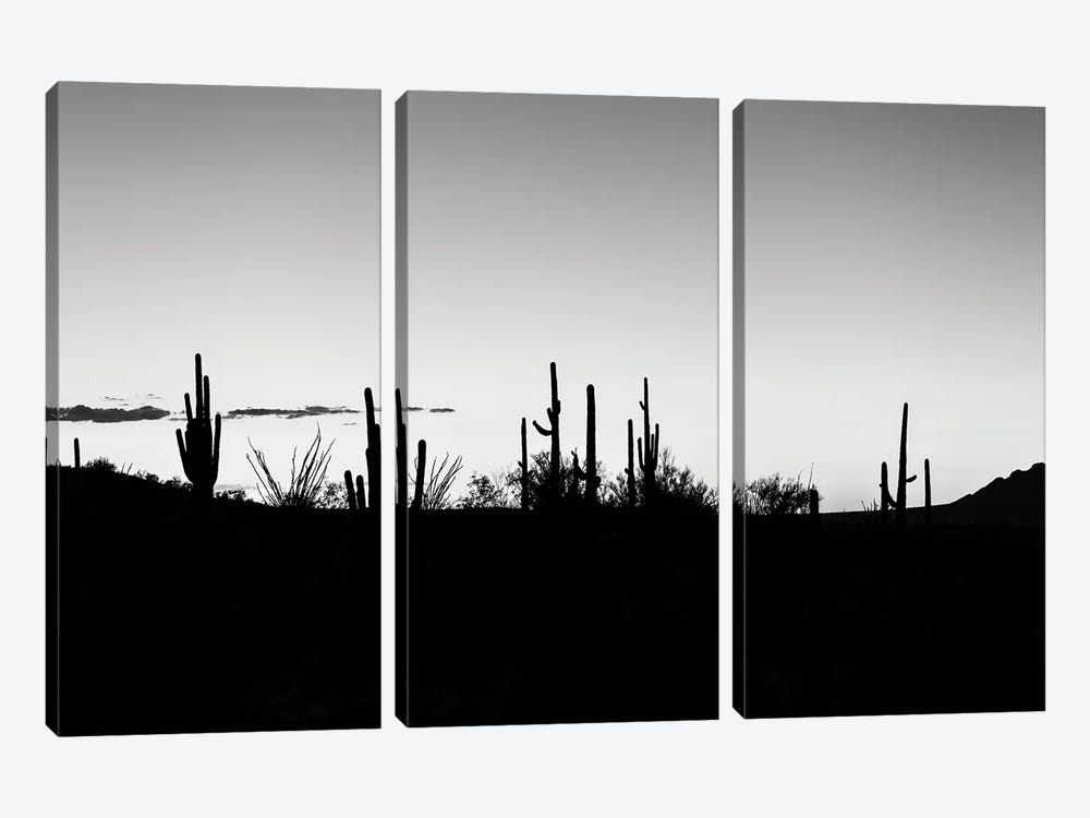 Black Arizona Series - Sunset Cactus Skyline by Philippe Hugonnard 3-piece Canvas Artwork