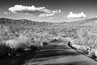 Black Arizona Series - Desert Crossing by Philippe Hugonnard canvas print