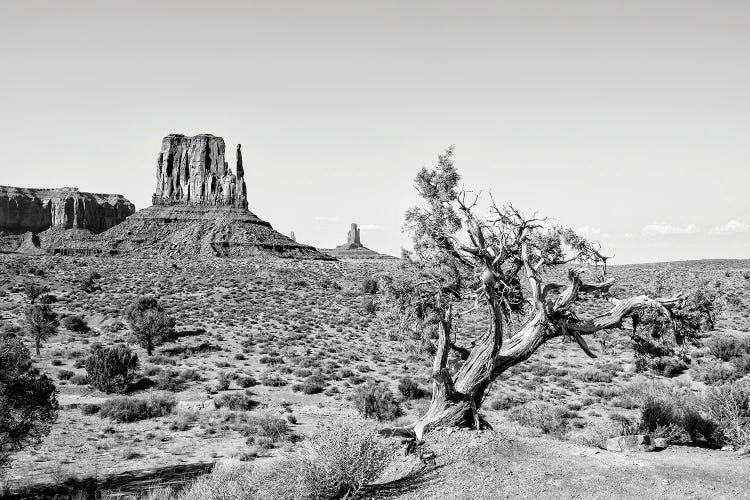 Black Arizona Series - Beautiful Nature Monument Valley