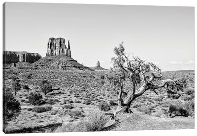 Black Arizona Series - Beautiful Nature Monument Valley Canvas Art Print